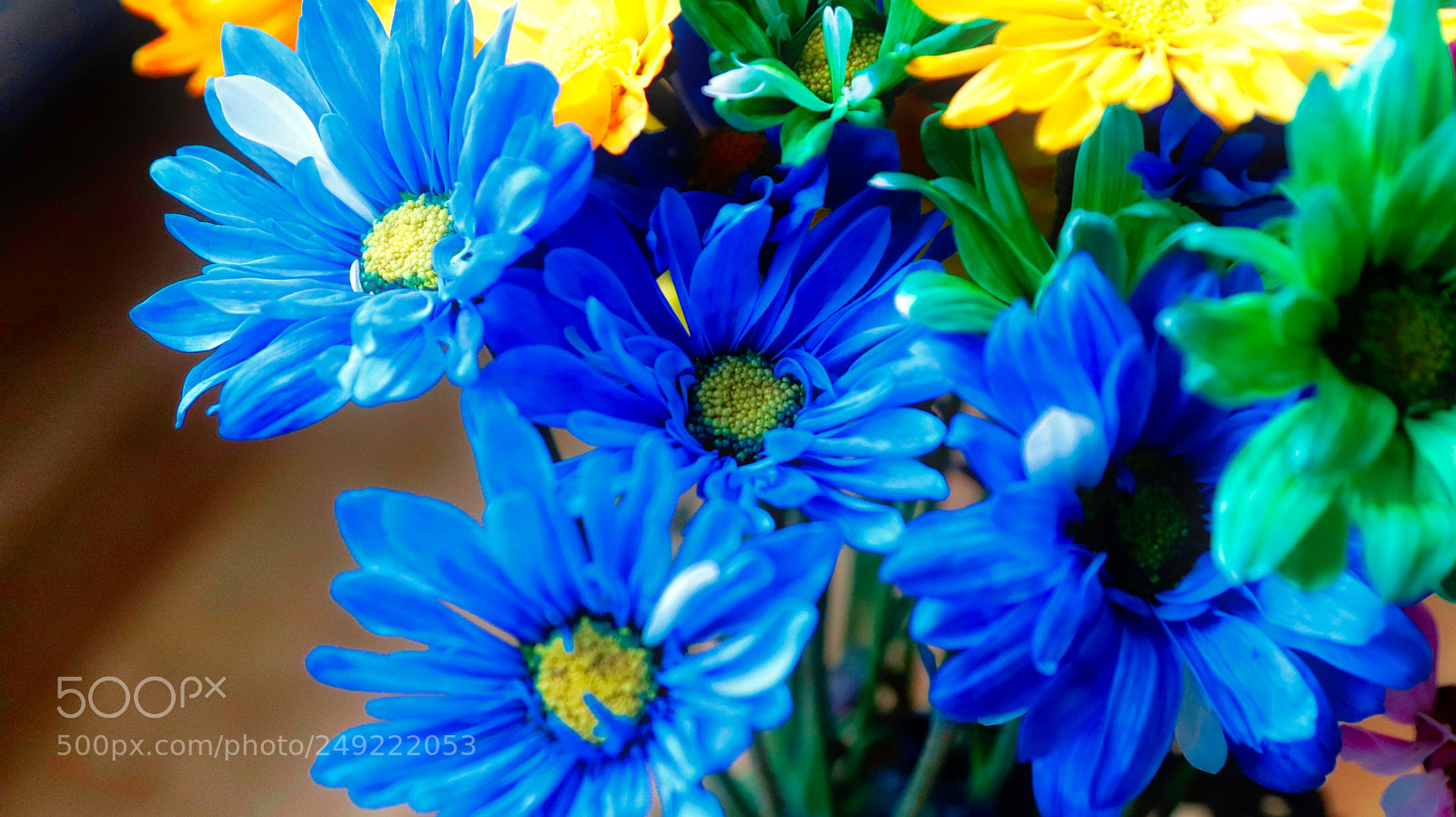 Canon EOS 800D (EOS Rebel T7i / EOS Kiss X9i) sample photo. Wanda's birthday bouquet photography