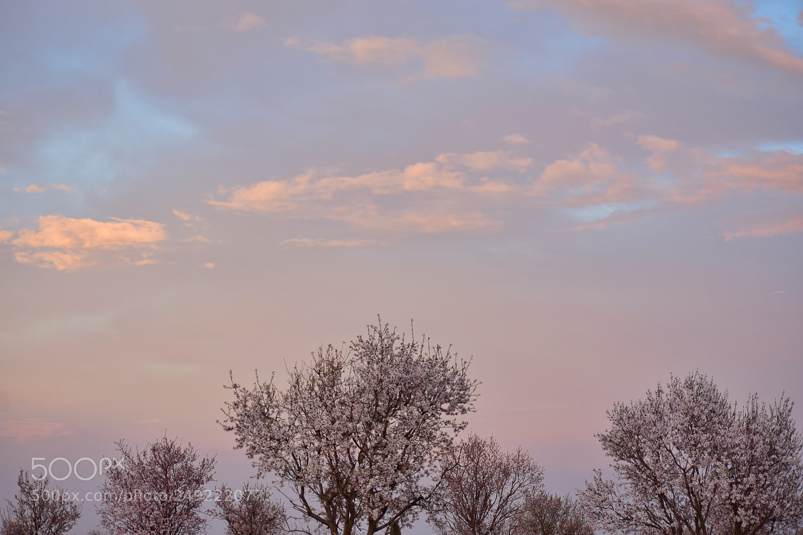 Nikon D7200 sample photo. Untitled photography