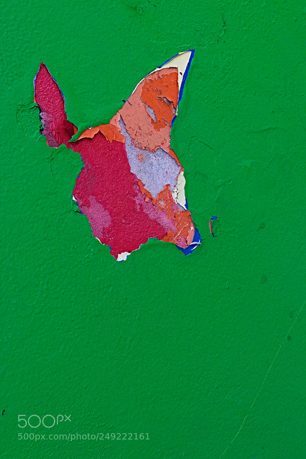 Canon EOS 750D (EOS Rebel T6i / EOS Kiss X8i) sample photo. Peeling paint photography