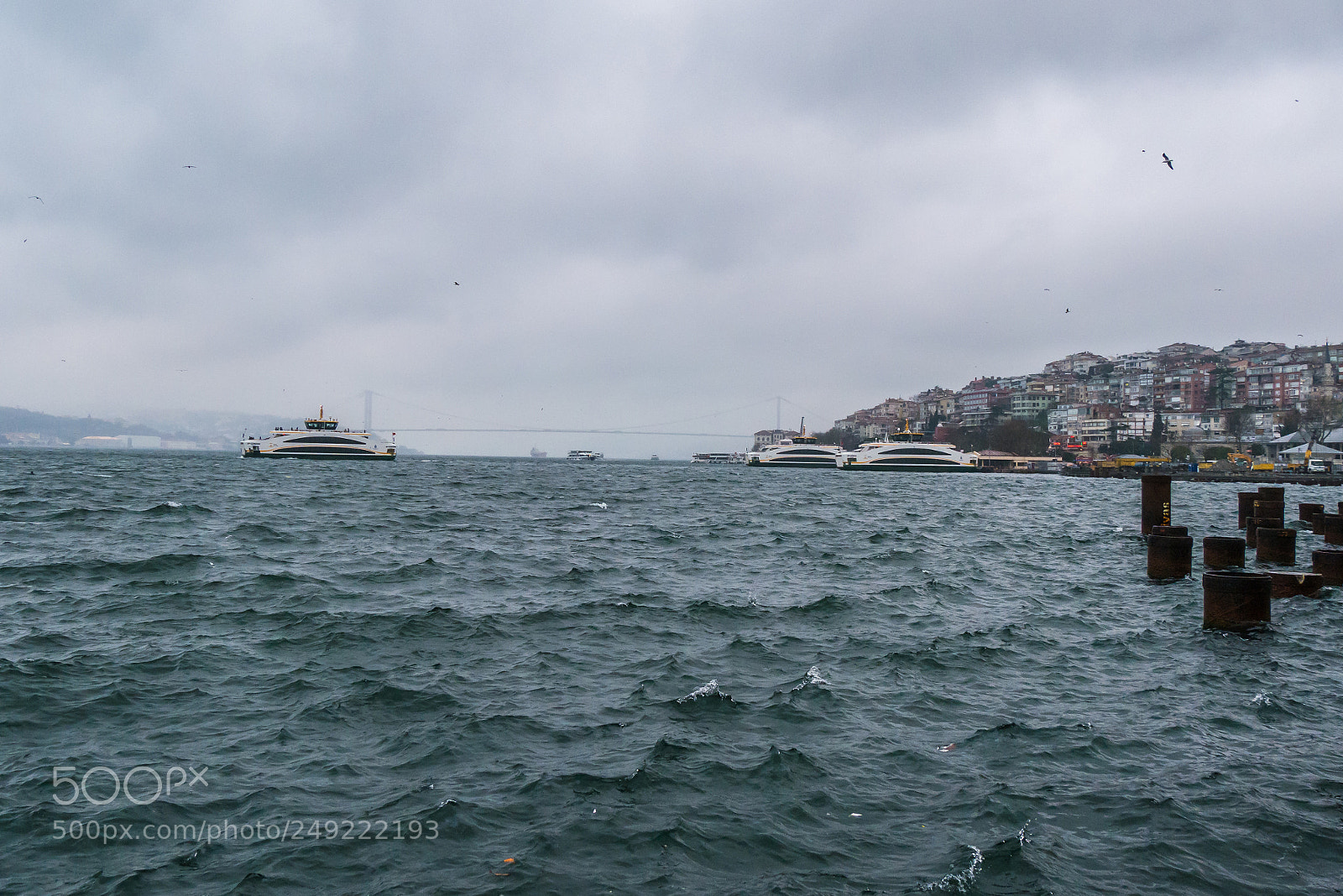 Panasonic Lumix DMC-G85 (Lumix DMC-G80) sample photo. Bosphorus view of galata photography