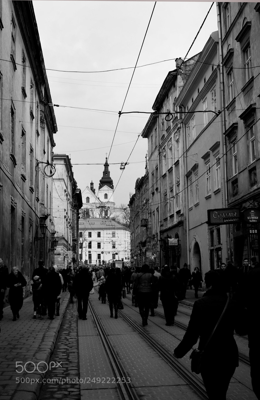 Nikon D50 sample photo. Run wild in the photography