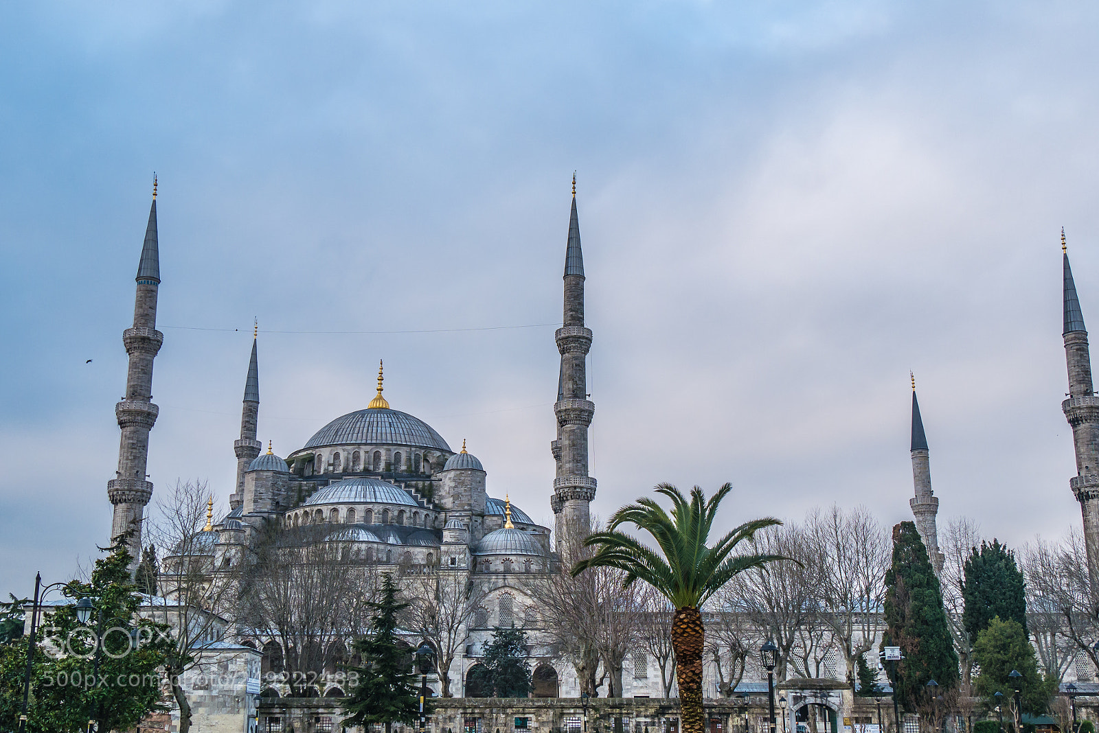 Panasonic Lumix DMC-G85 (Lumix DMC-G80) sample photo. The blue mosque photography