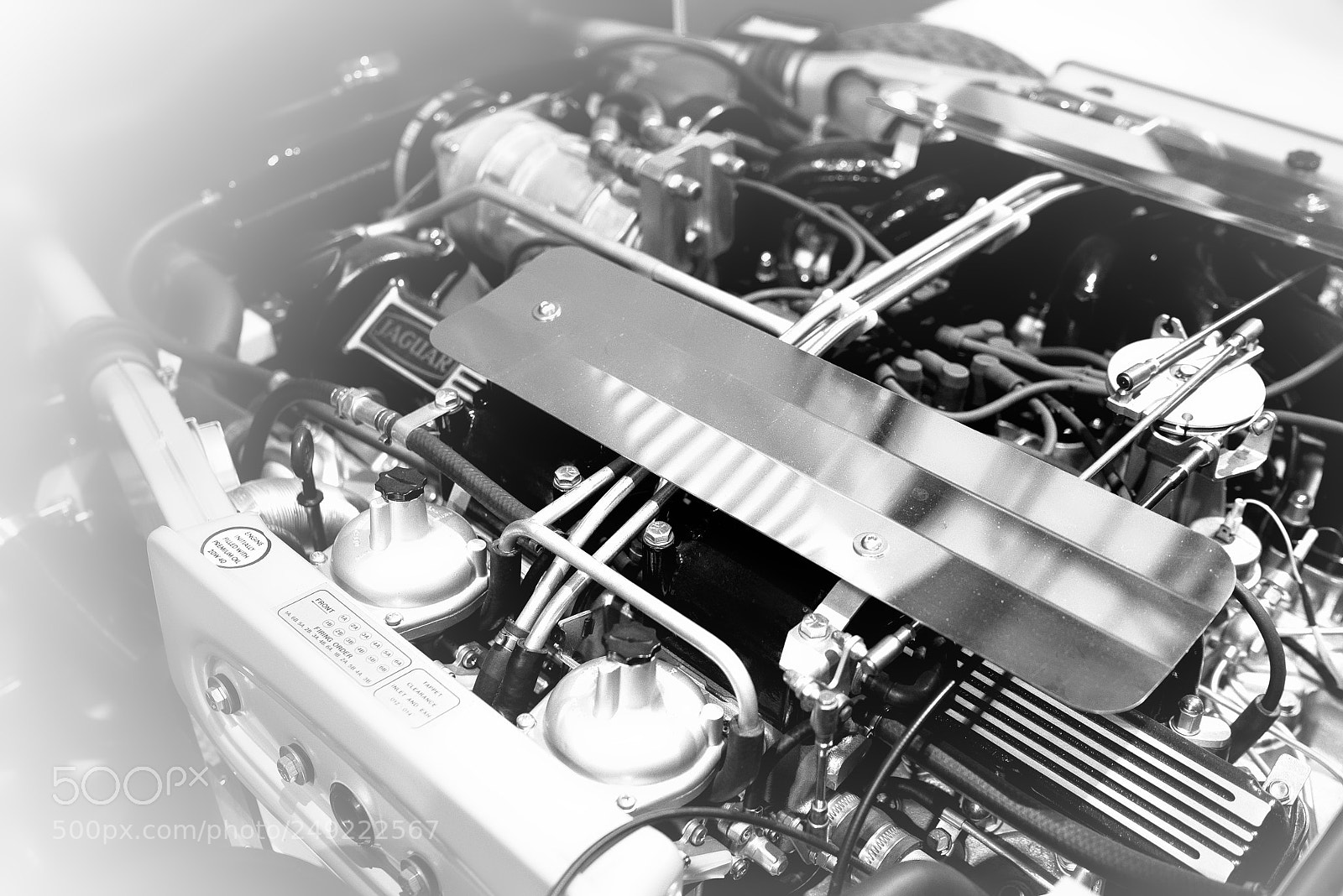 Sony a7R III sample photo. Jaguar e-type v12 roadster photography