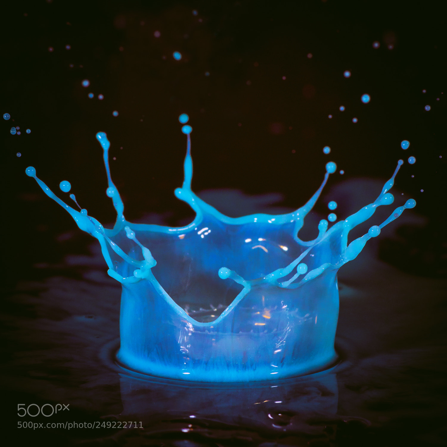 Sony a6000 sample photo. Blue crown photography