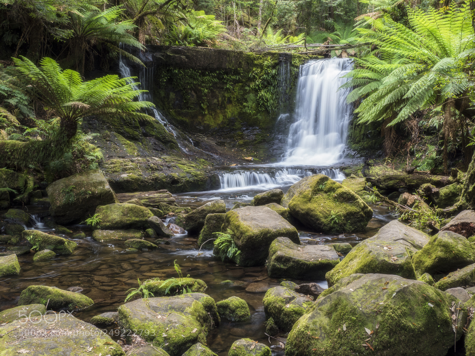 Olympus OM-D E-M1 Mark II sample photo. Horseshoe falls mt field photography