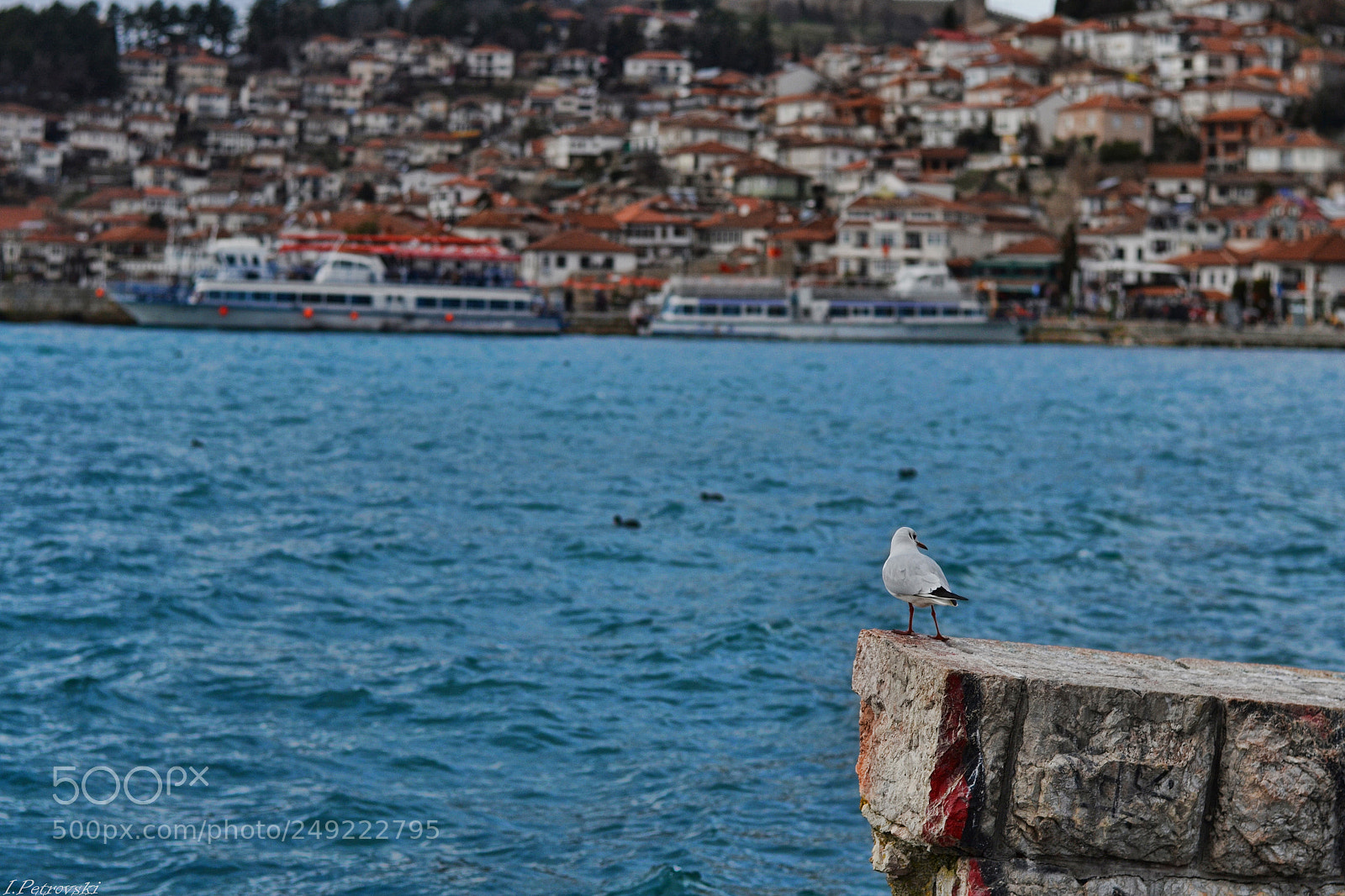 Nikon D3100 sample photo. Lost photography