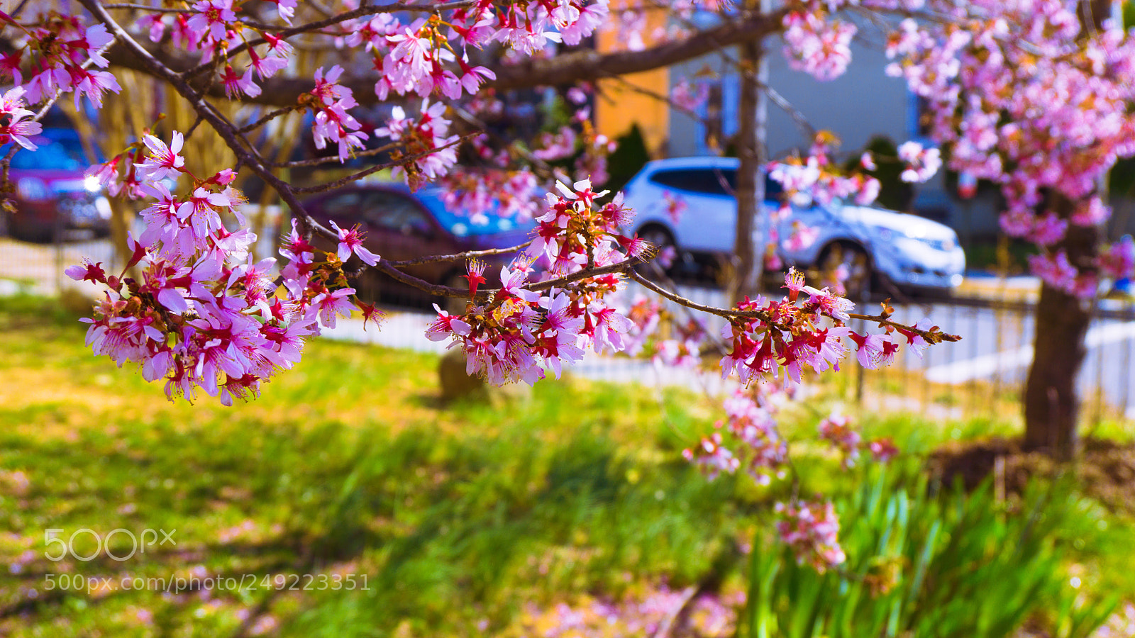Sony a6000 sample photo. Palette photography