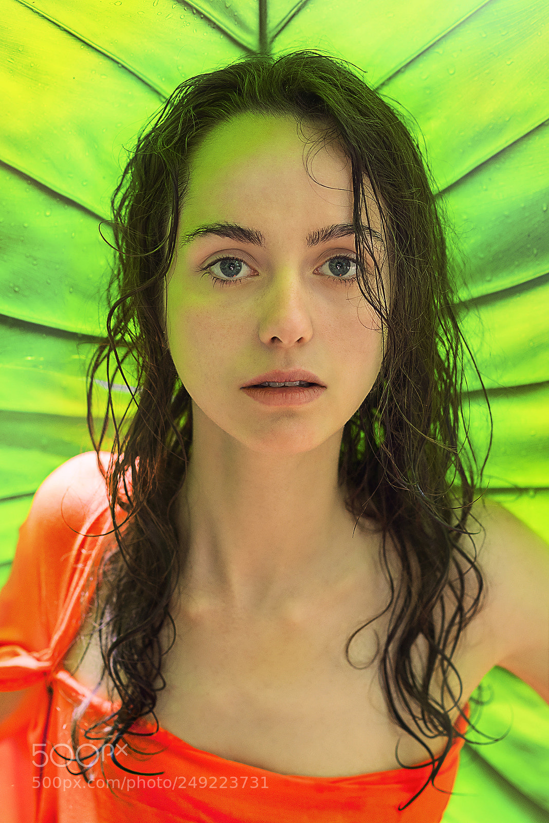 Sony a7R sample photo. Paradise 1009 photography