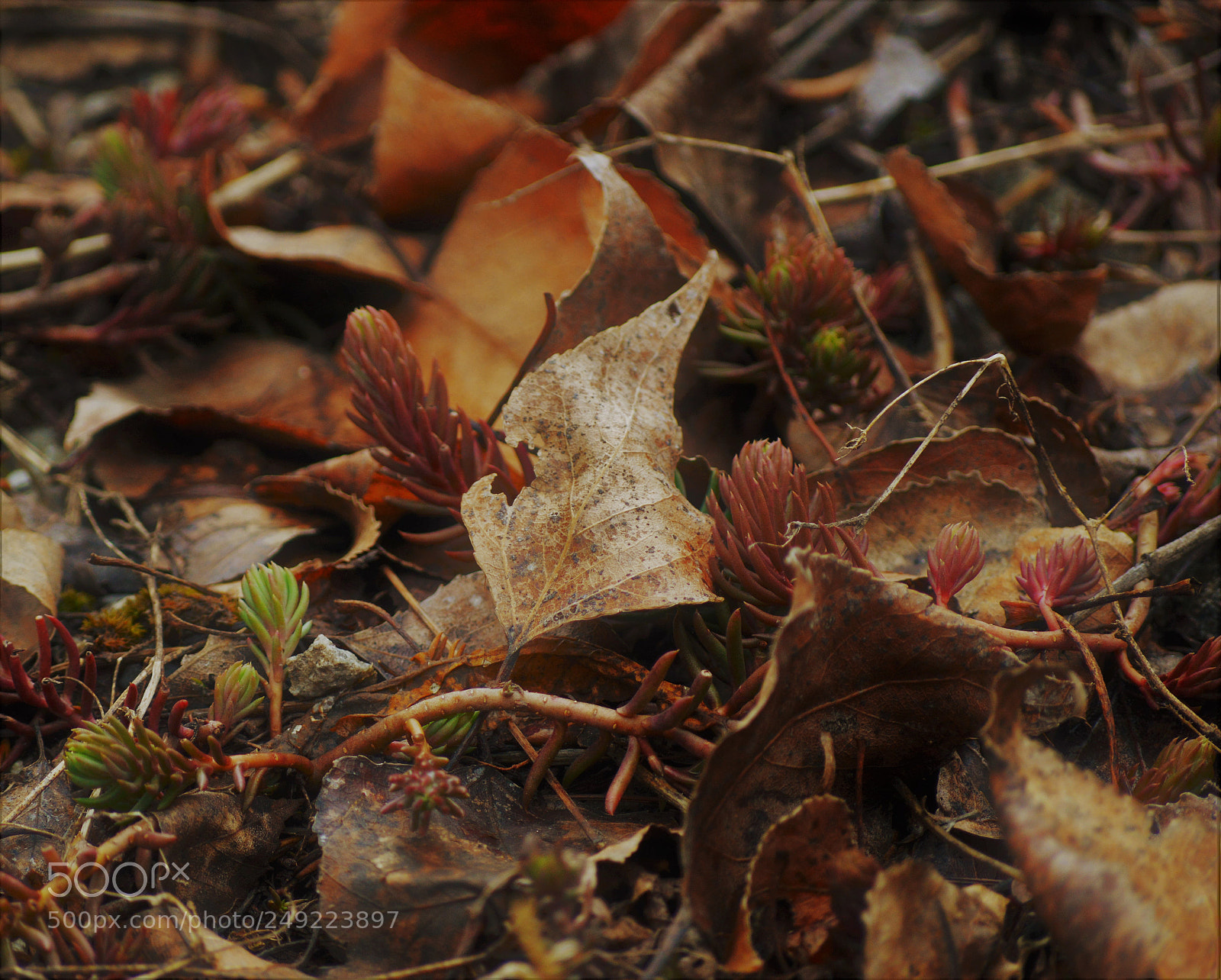Nikon D3200 sample photo. Untitled photography