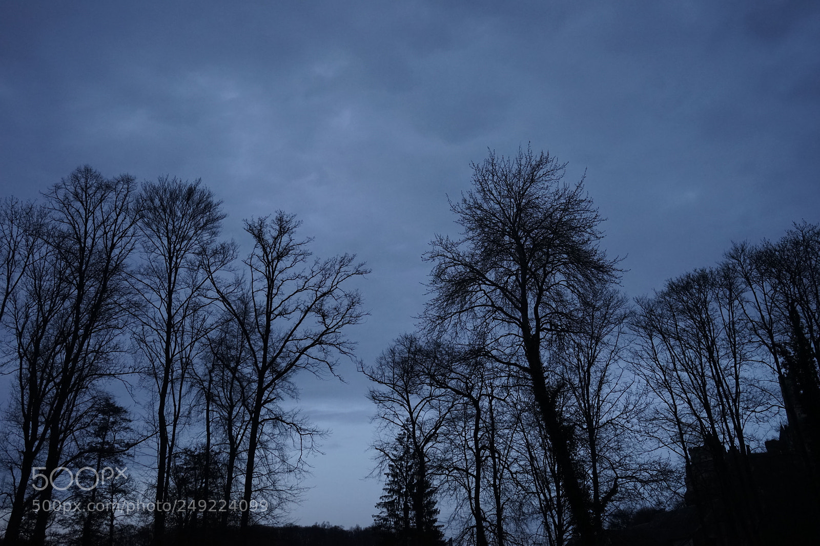 Sony a7 sample photo. Untitled photography