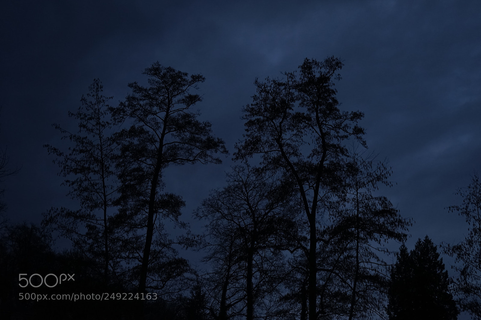 Sony a7 sample photo. Untitled photography