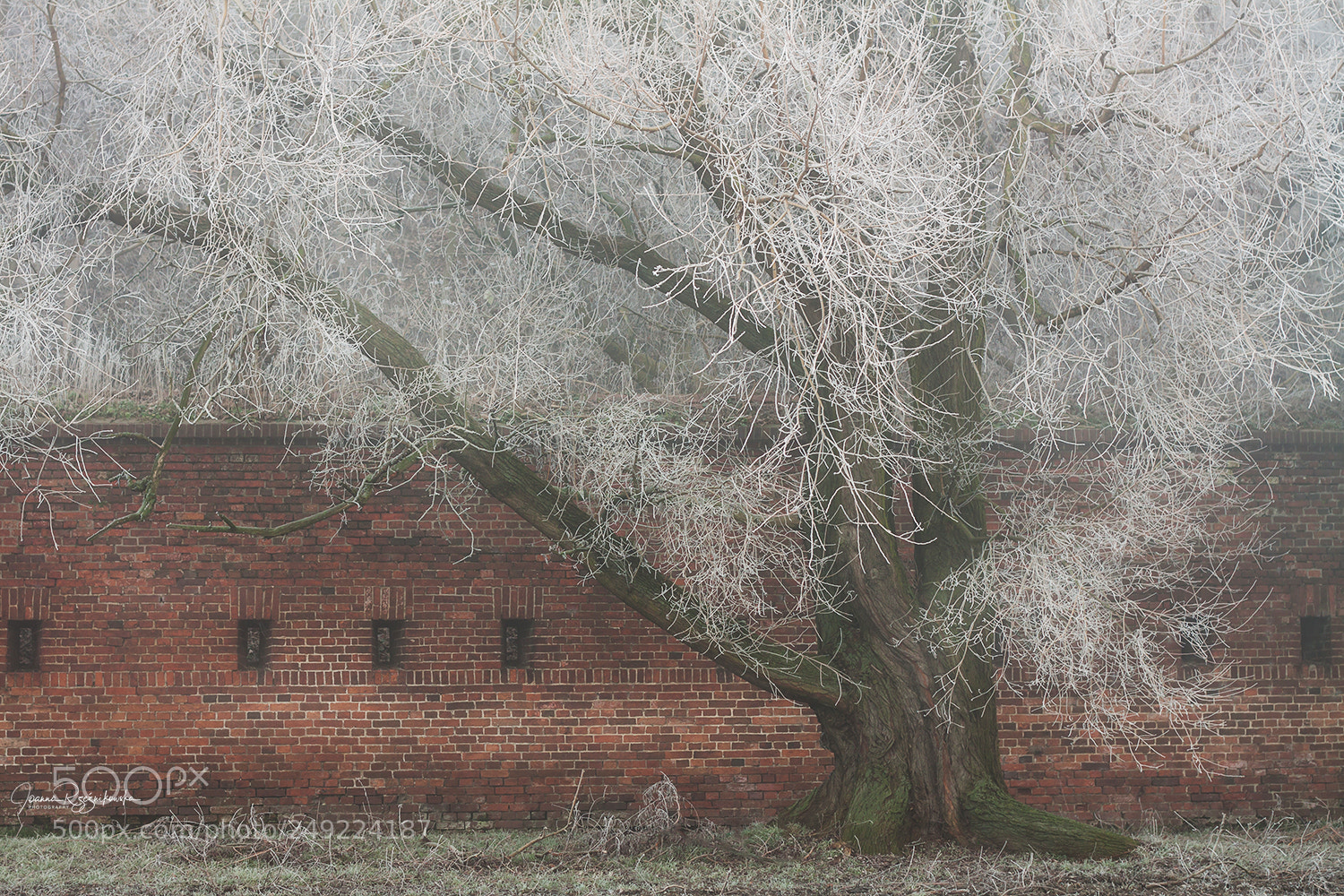 Canon EOS 50D sample photo. Winter in the city photography
