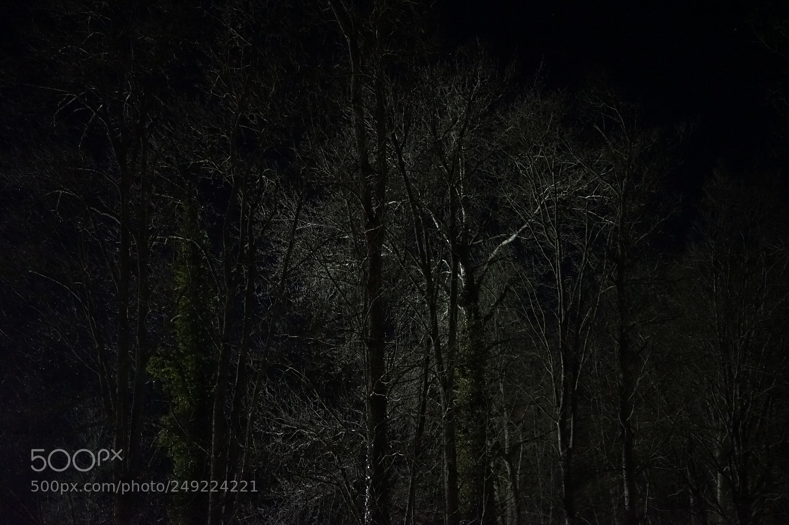 Sony a7 sample photo. Untitled photography