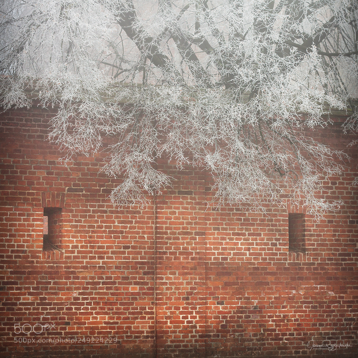 Canon EOS 50D sample photo. Winter in the city photography