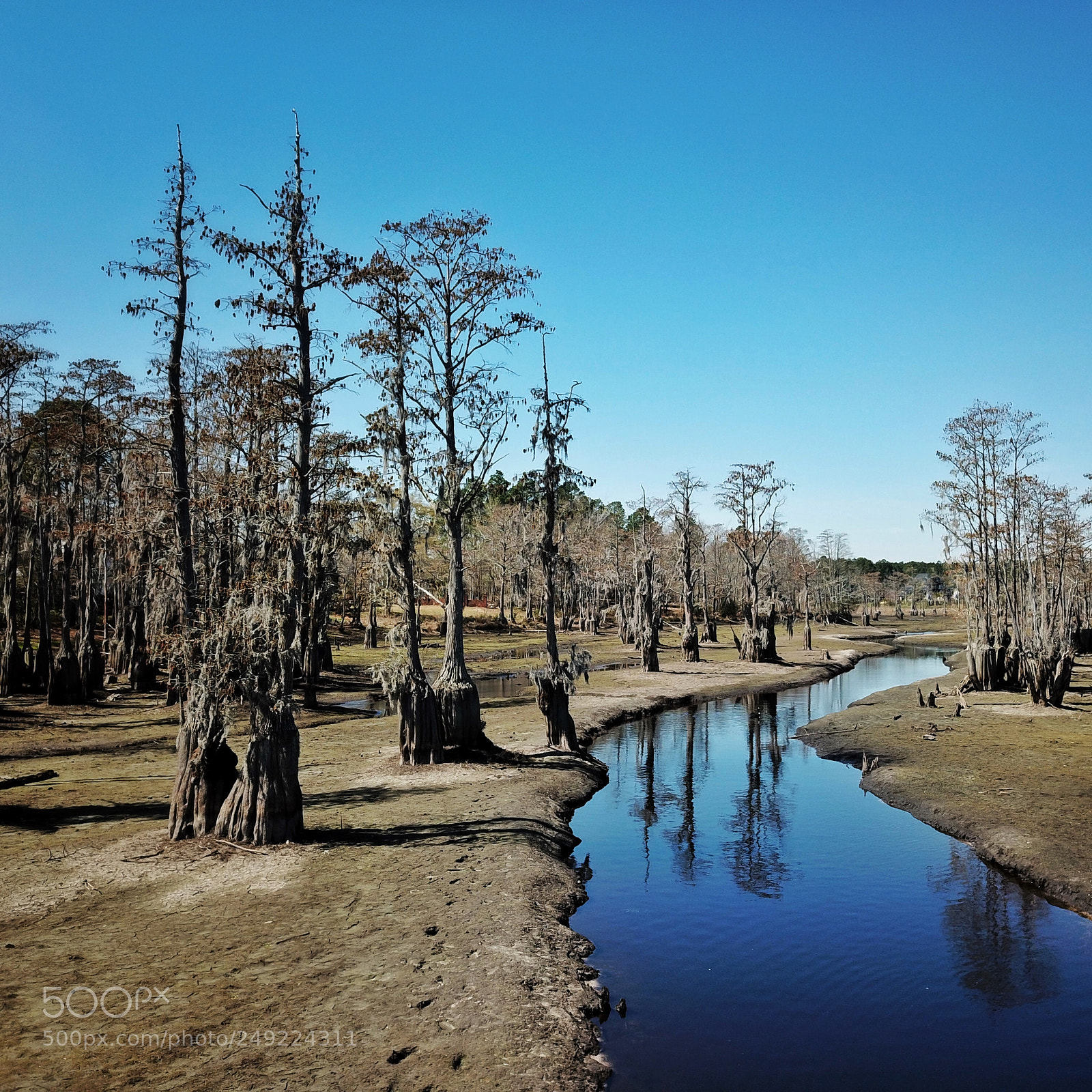DJI FC220 sample photo. Second millpond stream photography