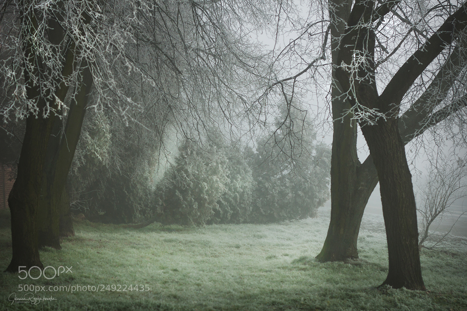 Canon EOS 50D sample photo. Winter in the city photography
