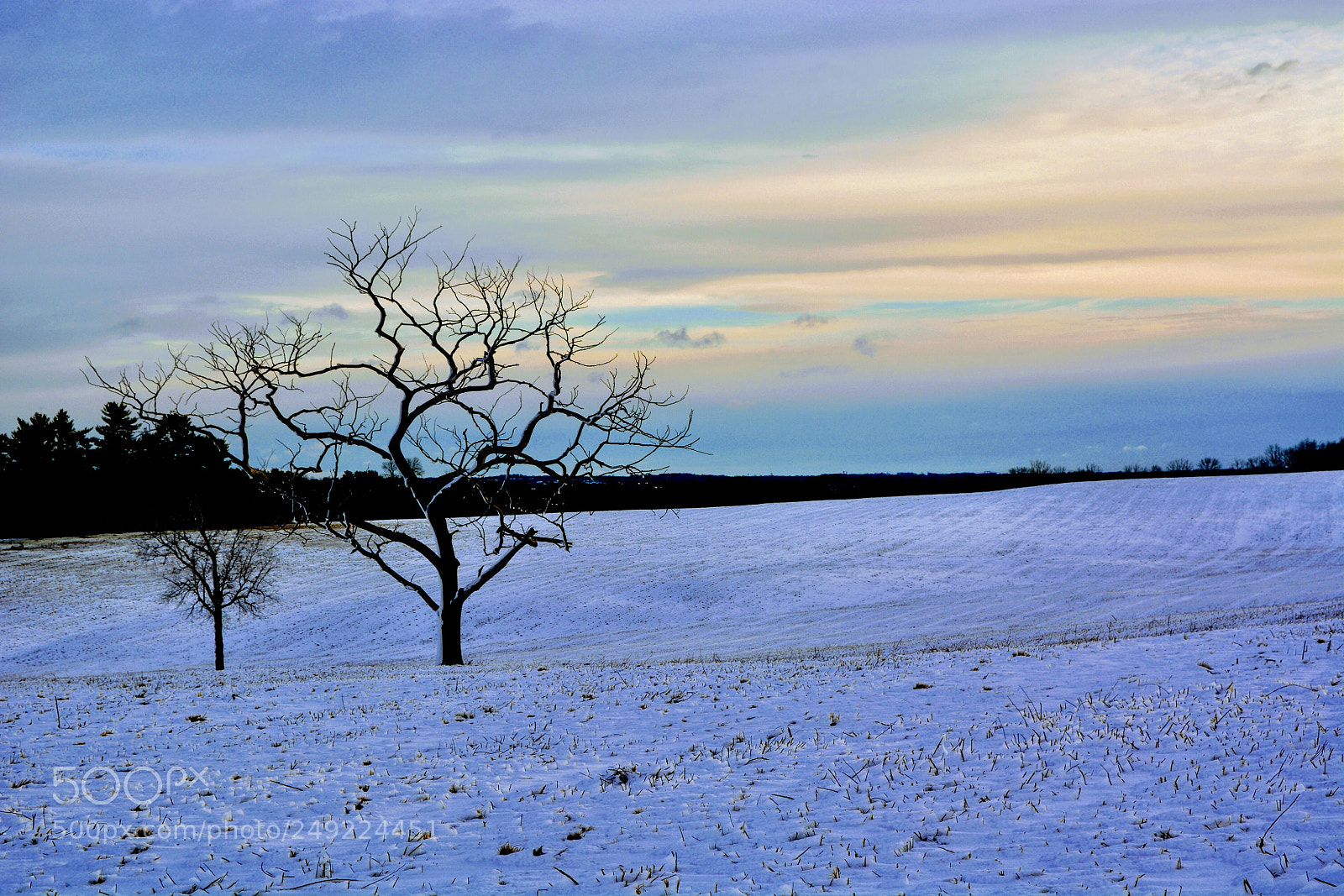 Nikon D7100 sample photo. Untitled photography