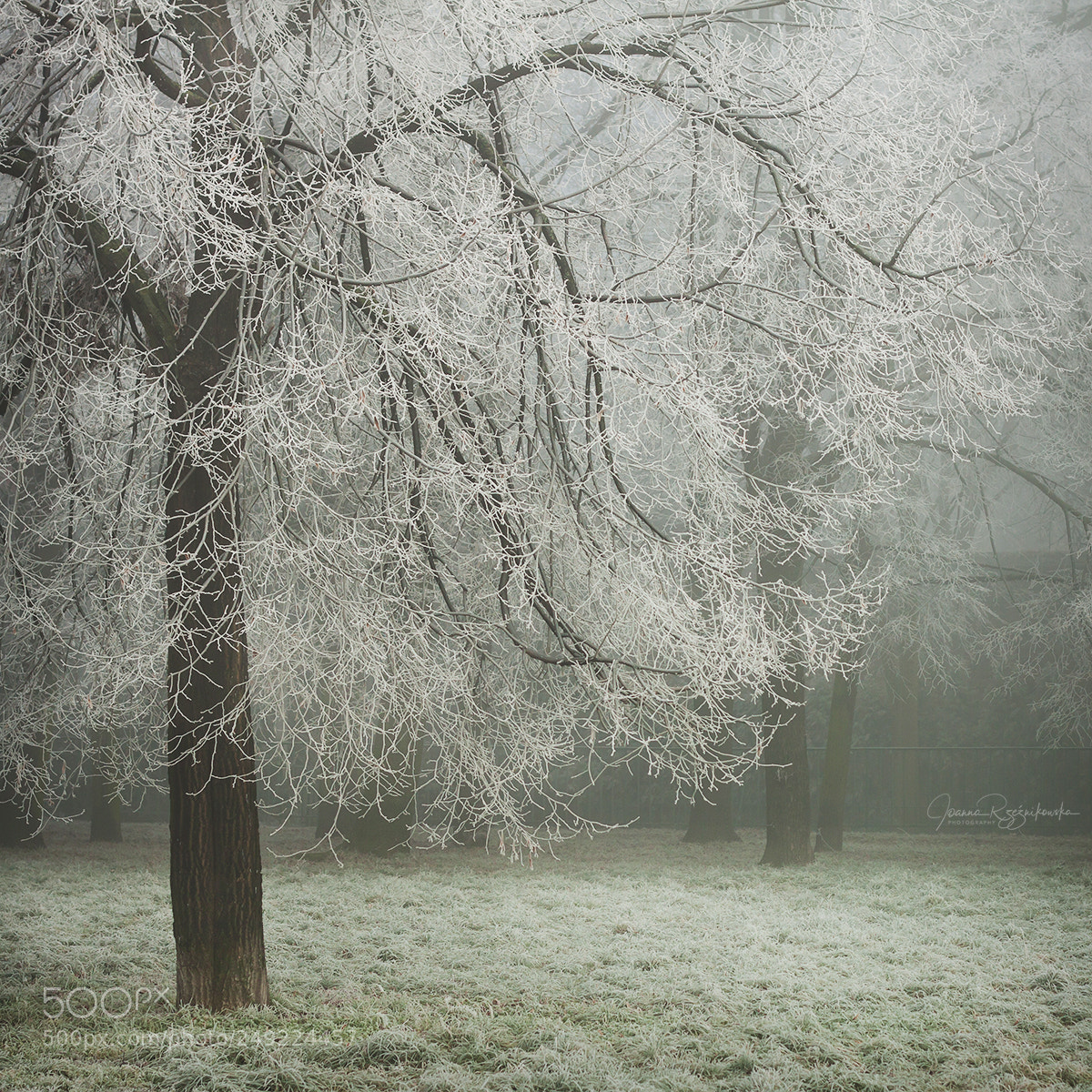 Canon EOS 50D sample photo. Winter in the city photography