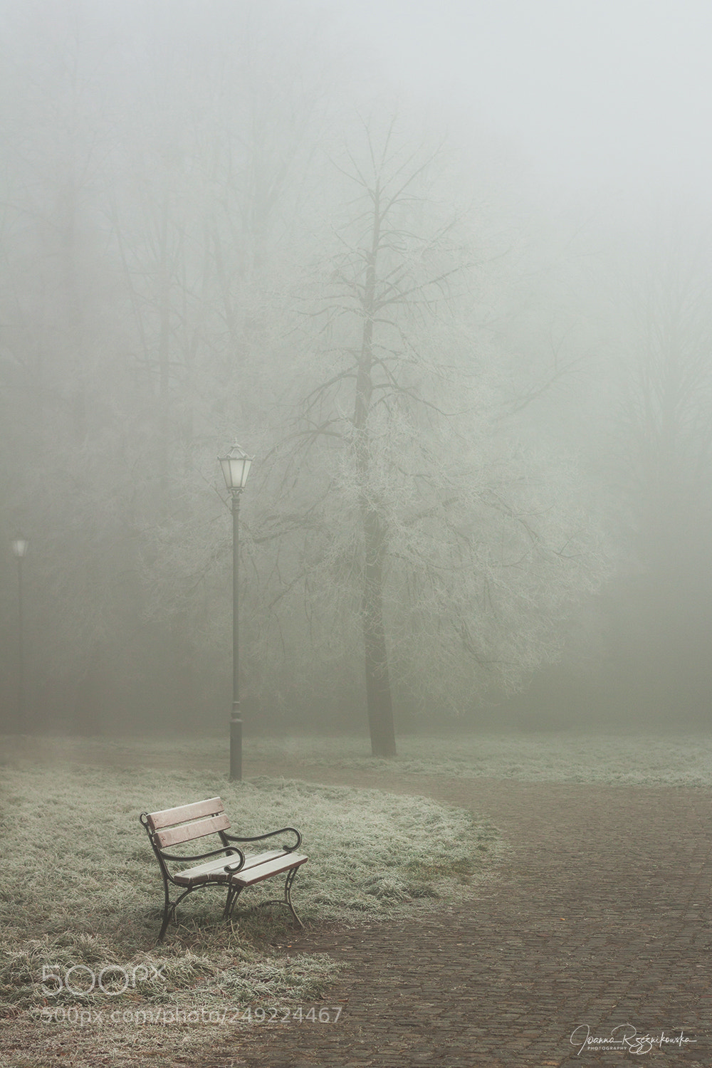 Canon EOS 50D sample photo. Winter in the city photography