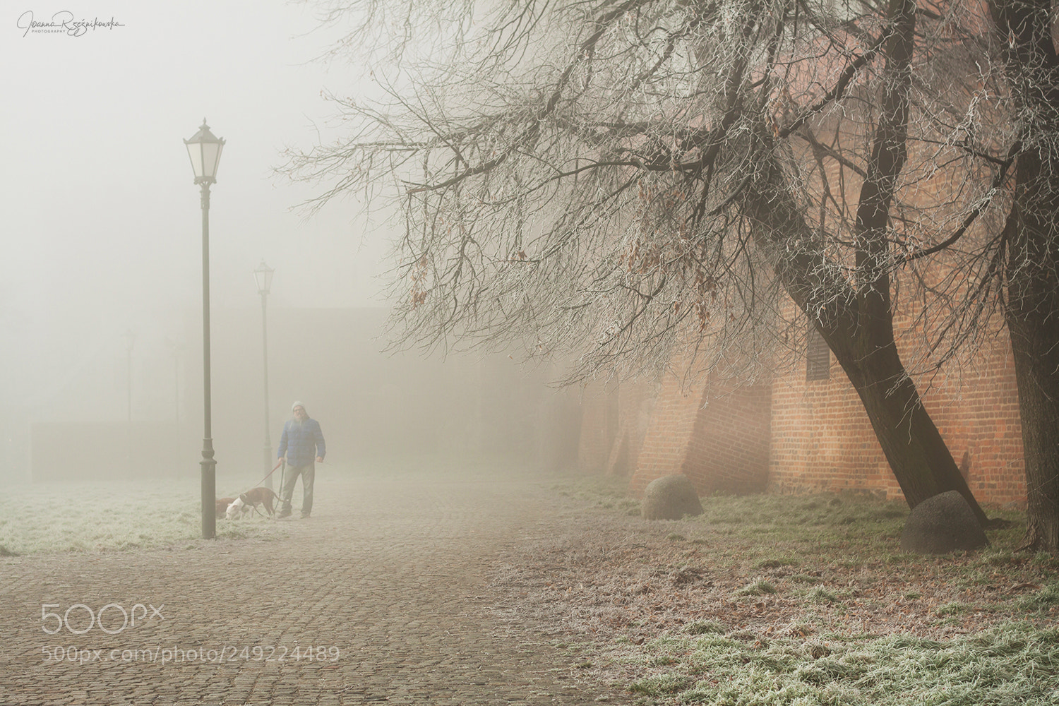 Canon EOS 50D sample photo. Winter in the city photography