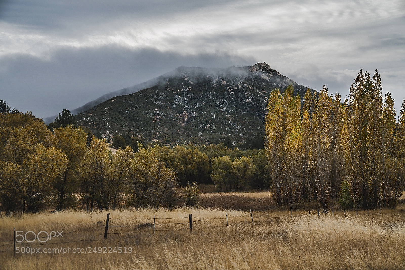 Sony a7R II sample photo. Fall vibes photography