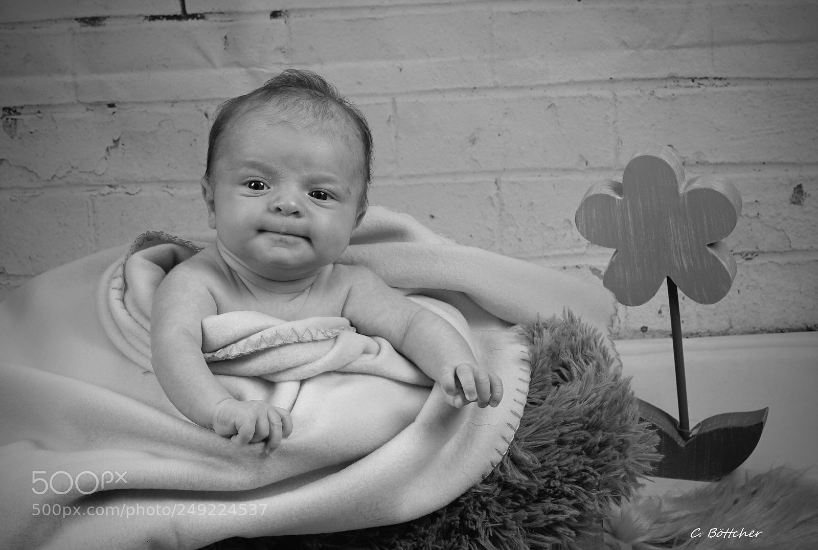 Sony ILCA-77M2 sample photo. Untitled photography