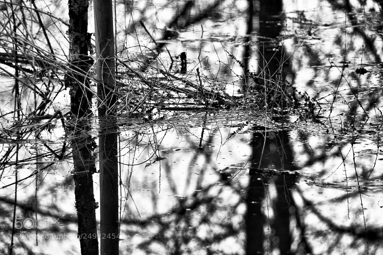 Nikon D7100 sample photo. L'eau... photography