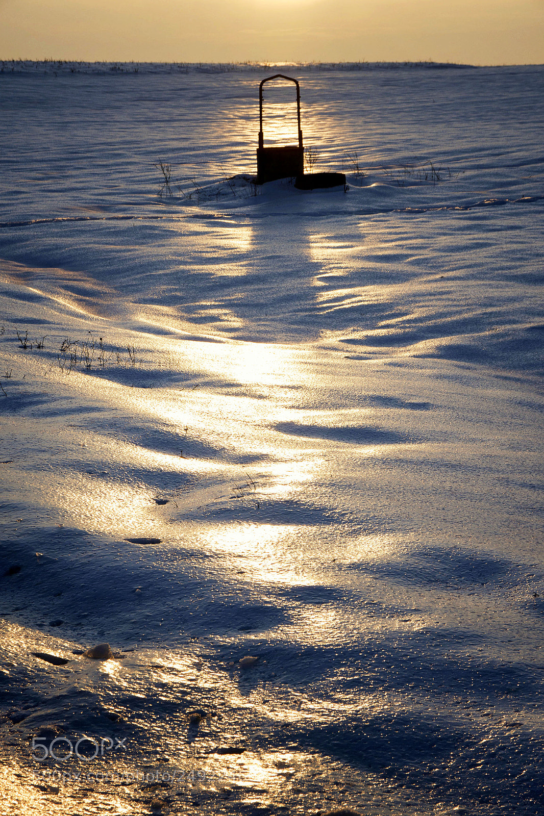 Nikon D800 sample photo. Silence photography