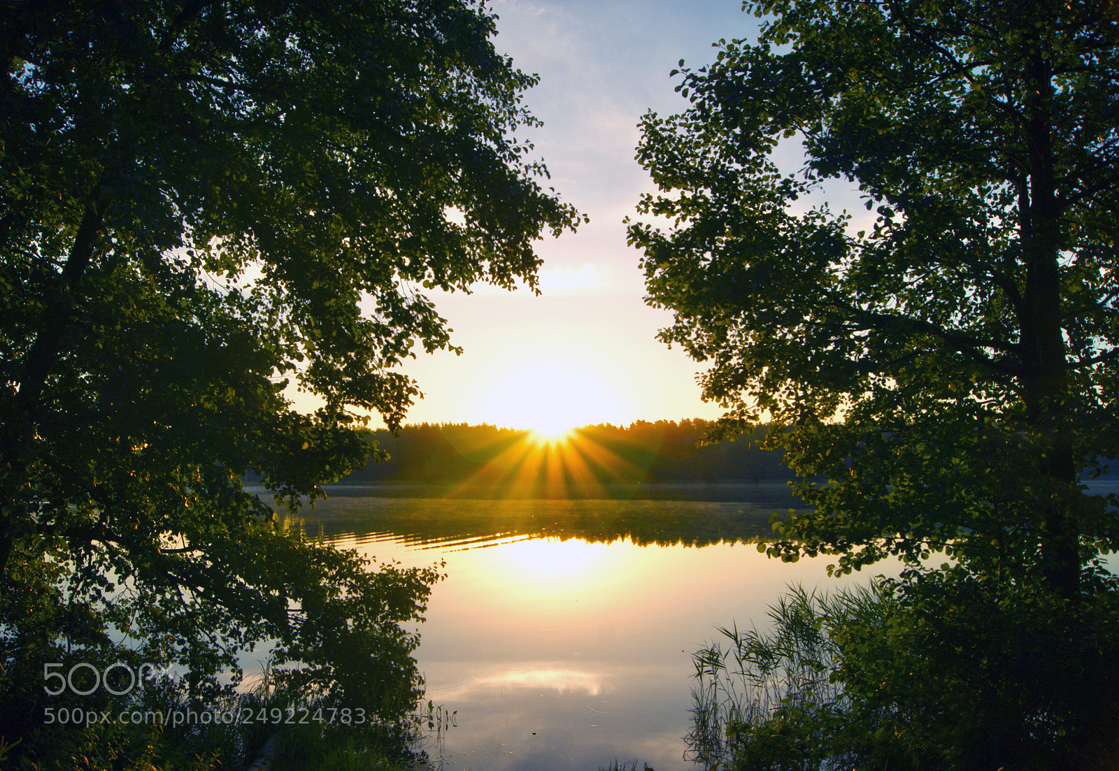 Sony Alpha DSLR-A290 sample photo. Dawn on the lake photography
