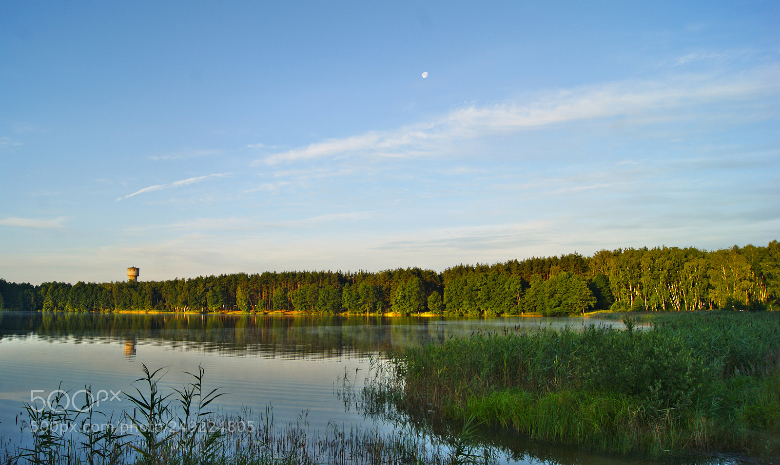 Sony Alpha DSLR-A290 sample photo. Quiet morning photography