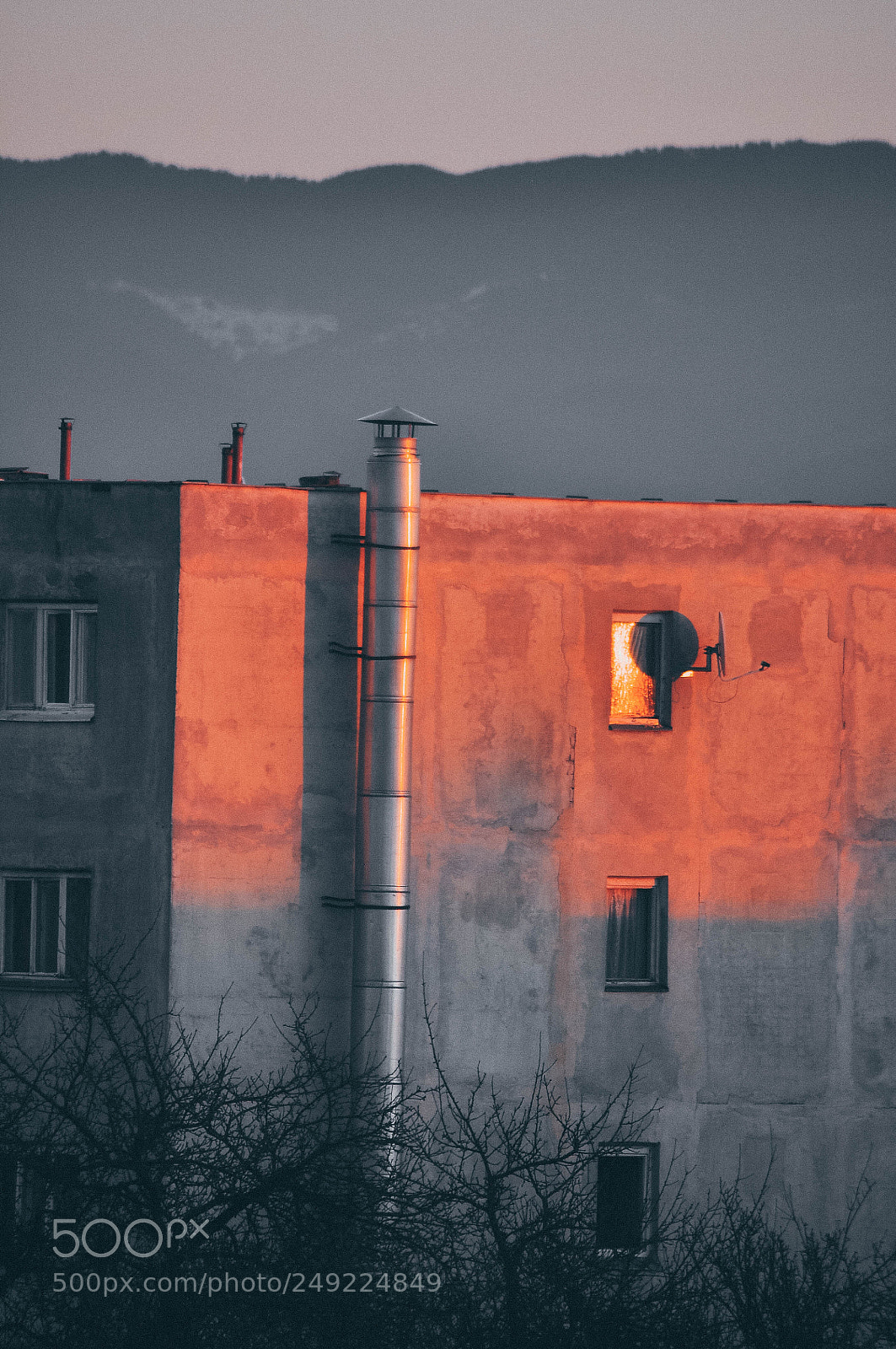 Nikon D90 sample photo. Rose sunset photography
