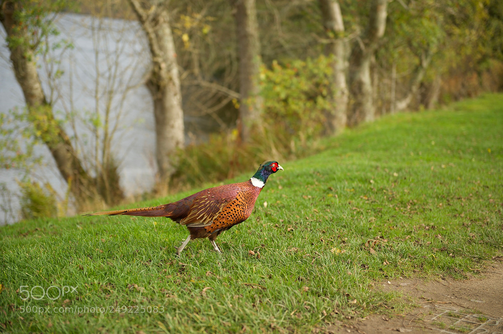 Nikon Df sample photo. Untitled photography