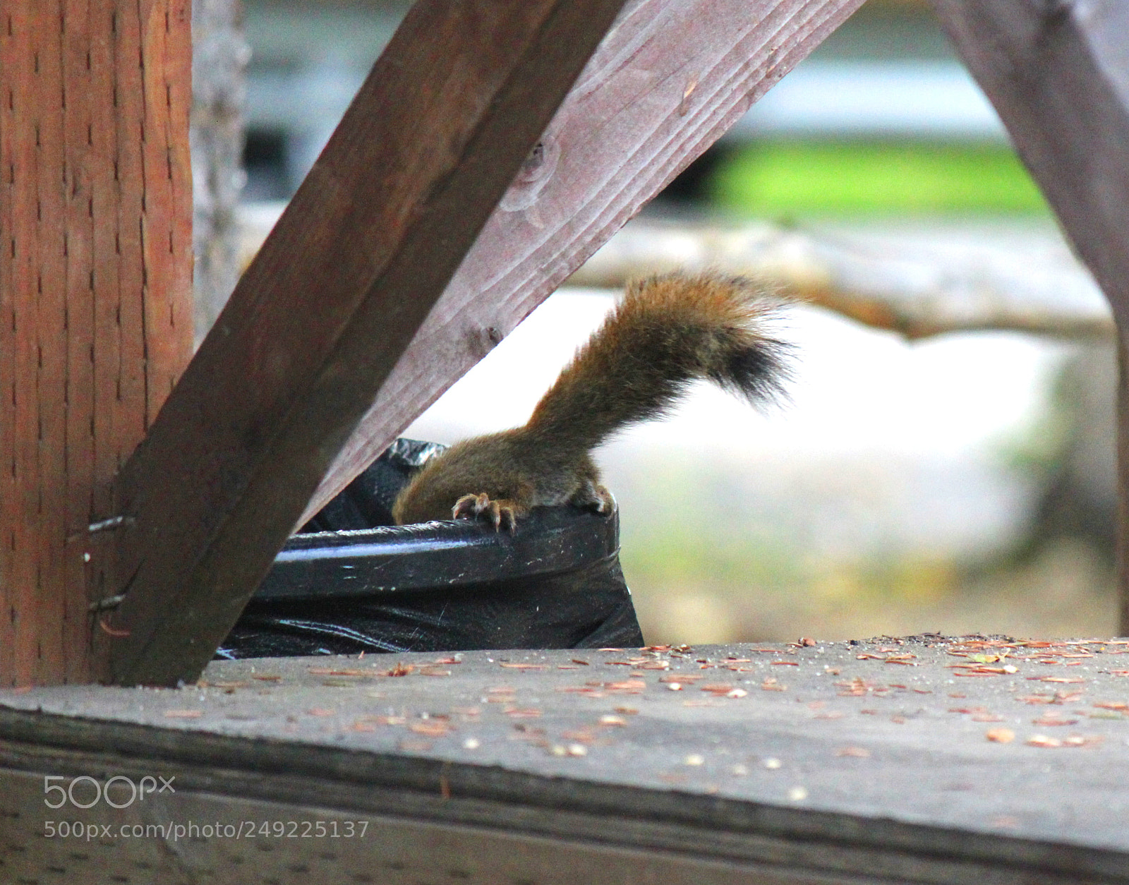 Canon EOS 600D (Rebel EOS T3i / EOS Kiss X5) sample photo. Img photography