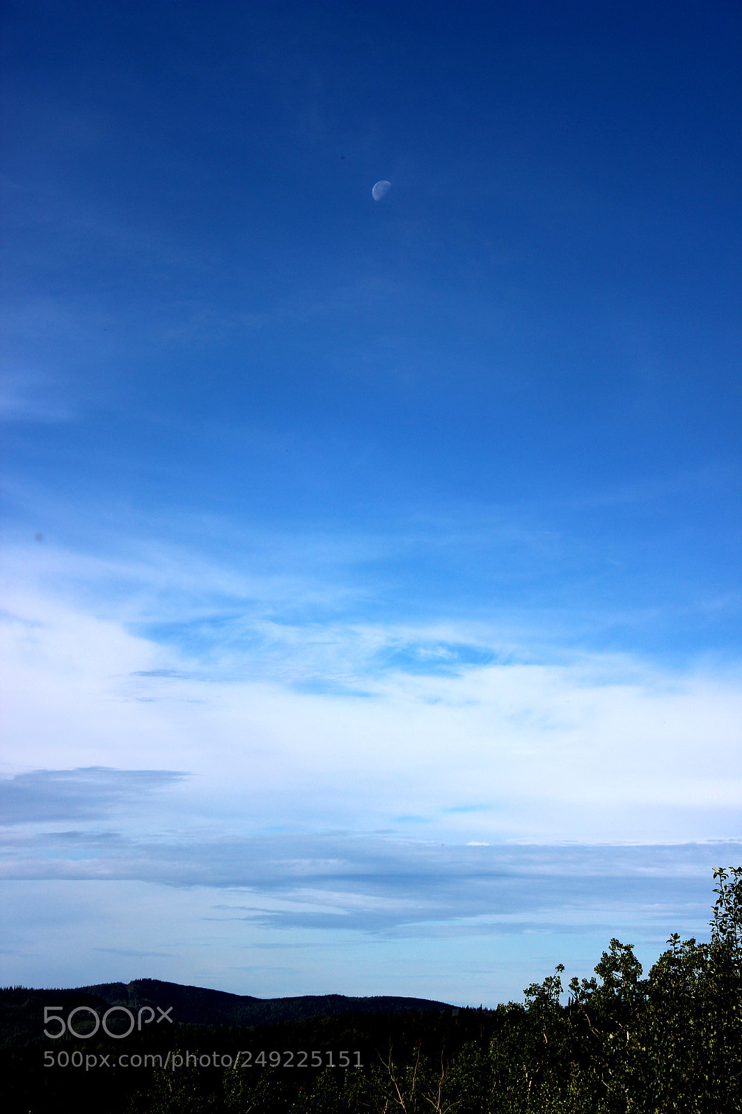 Canon EOS 600D (Rebel EOS T3i / EOS Kiss X5) sample photo. Img photography
