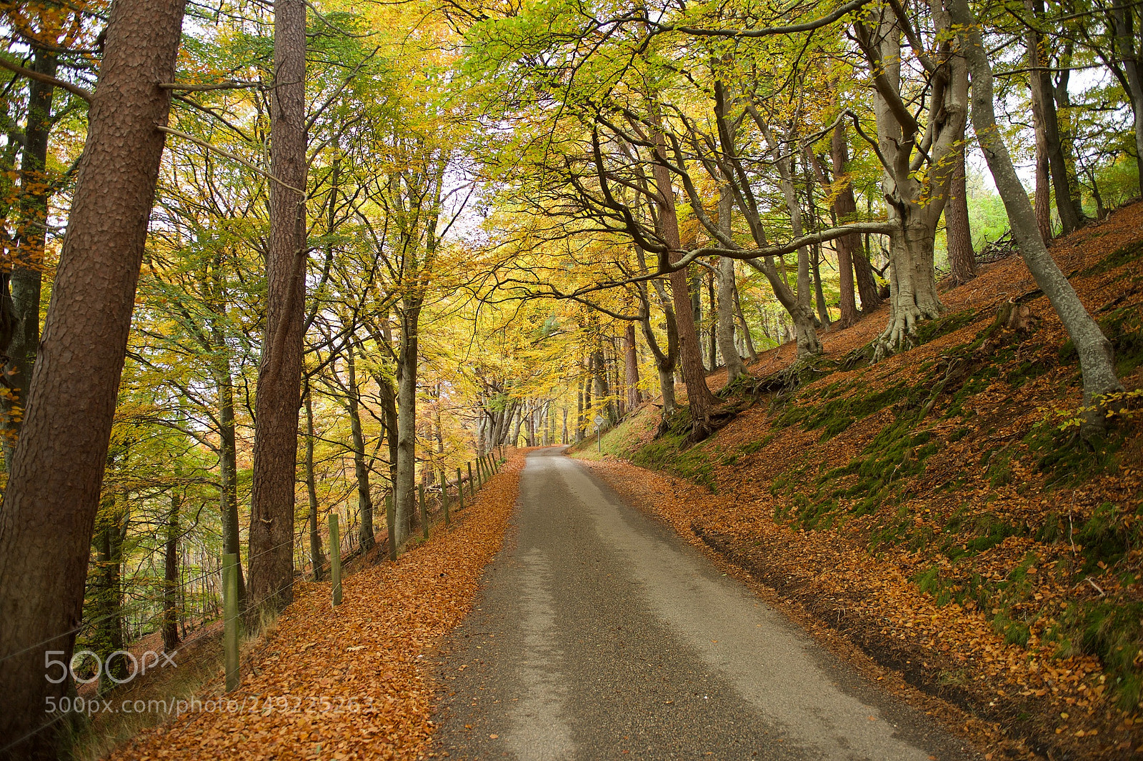 Nikon Df sample photo. Untitled photography