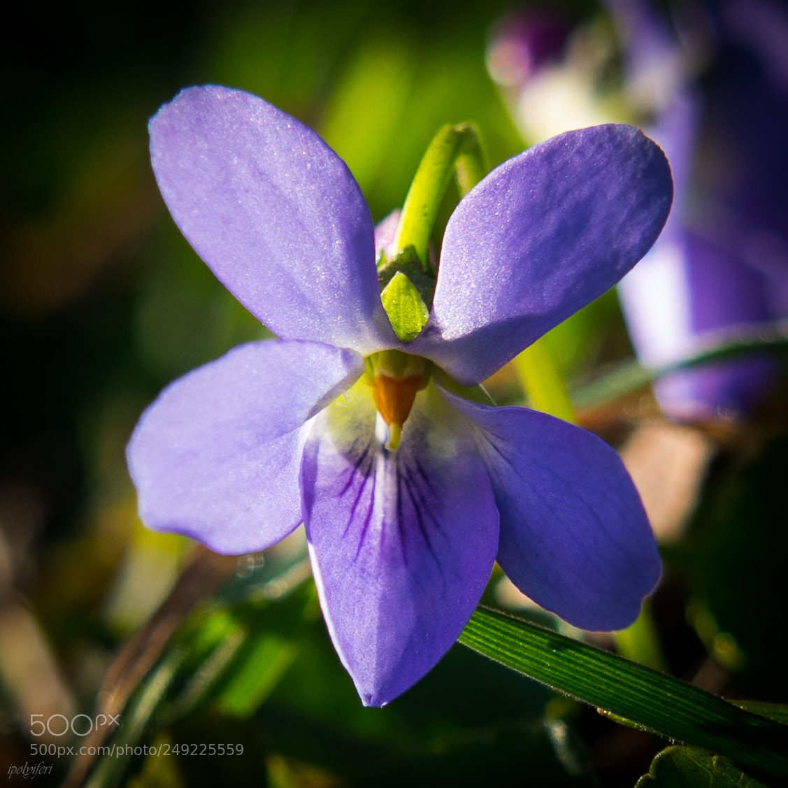 Nikon D5300 sample photo. Untitled photography