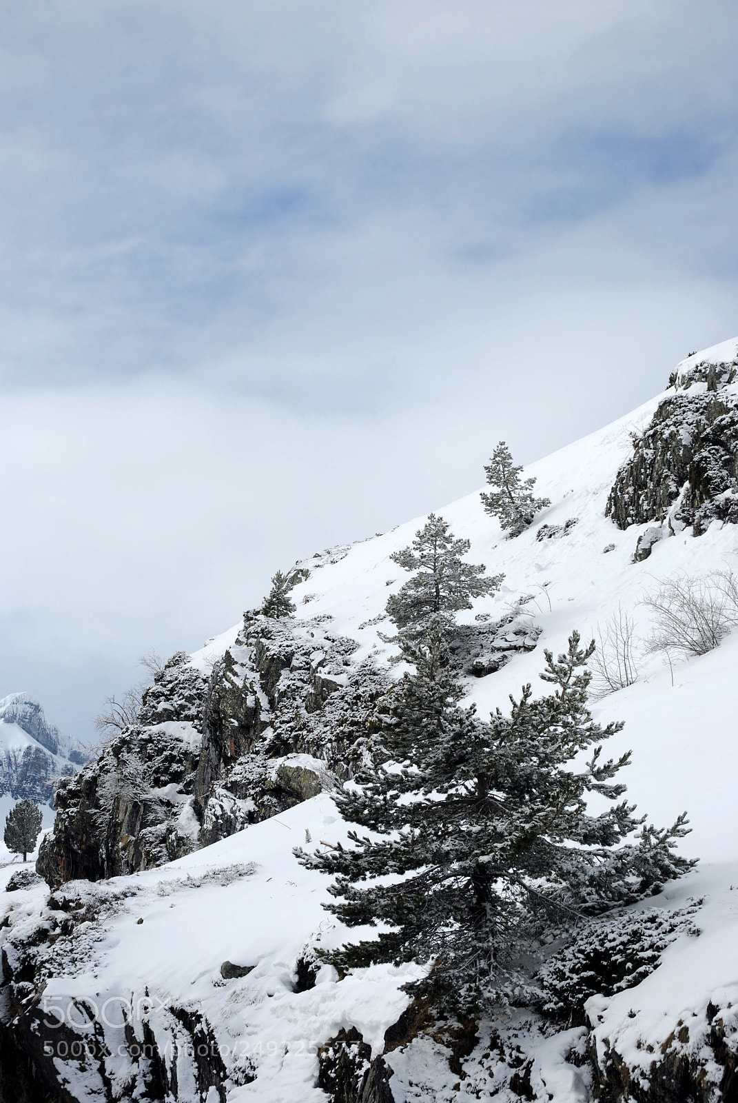 Nikon D3000 sample photo. Snowy landscape photography