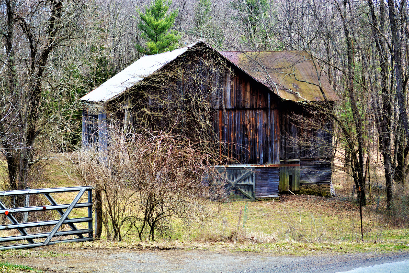 Nikon D5200 sample photo. Barns of pennsylvania photography