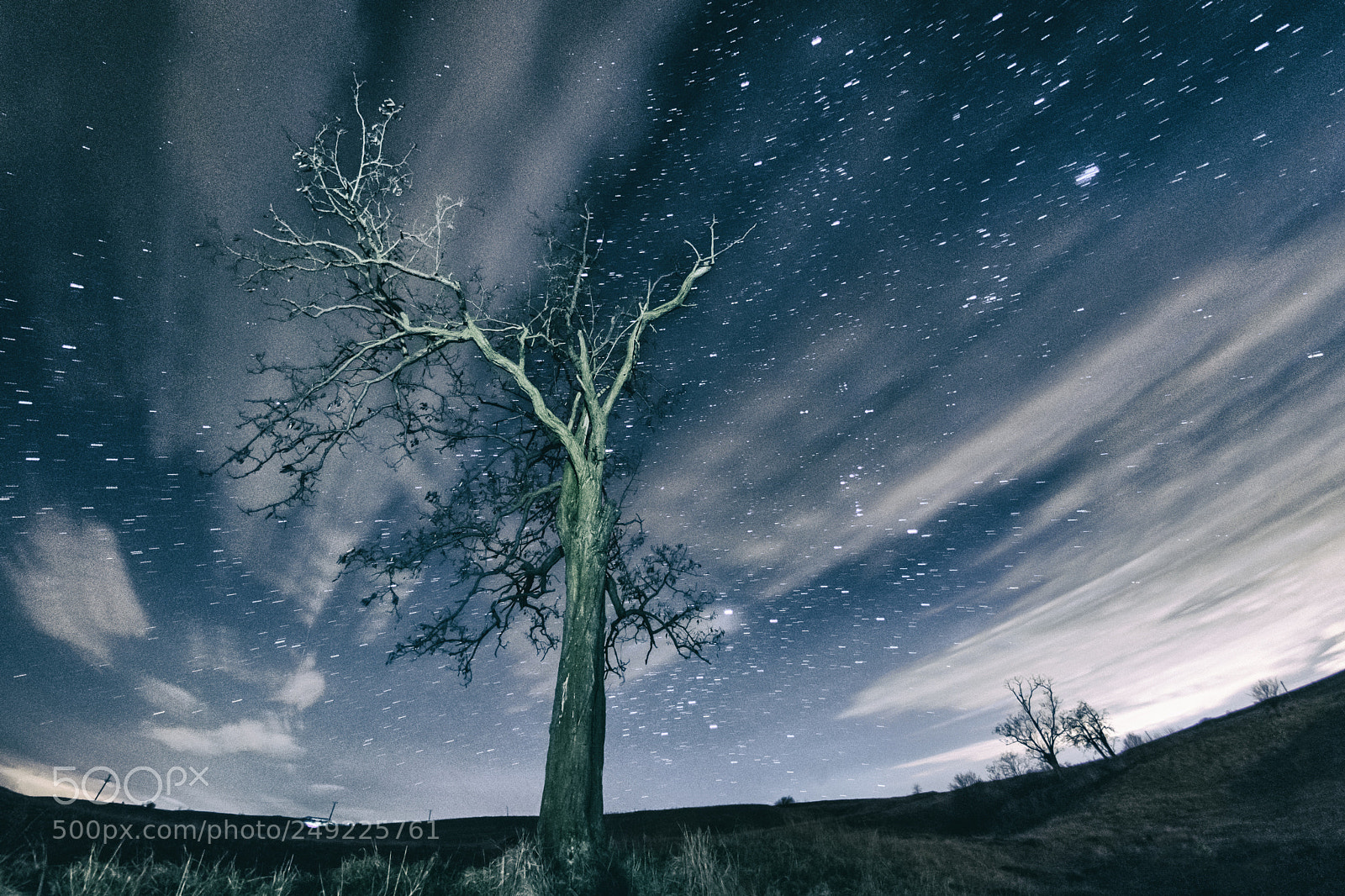 Nikon D5300 sample photo. Night stars photography