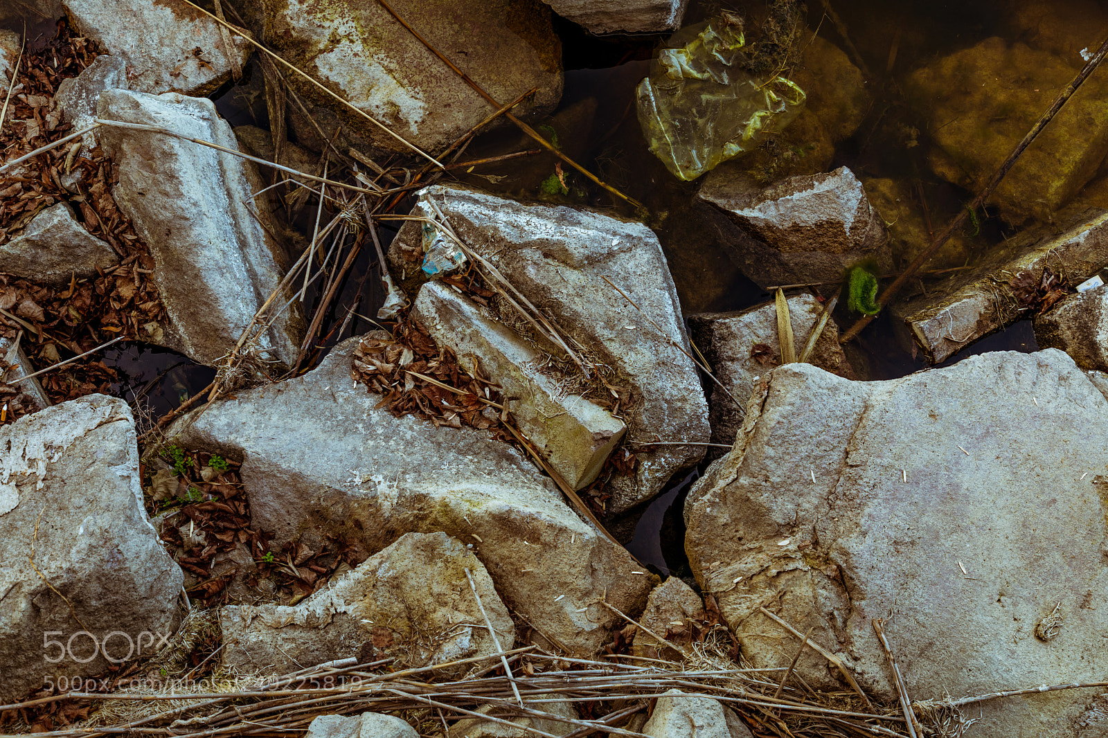 Canon EOS 5D Mark IV sample photo. Rocks under the water photography