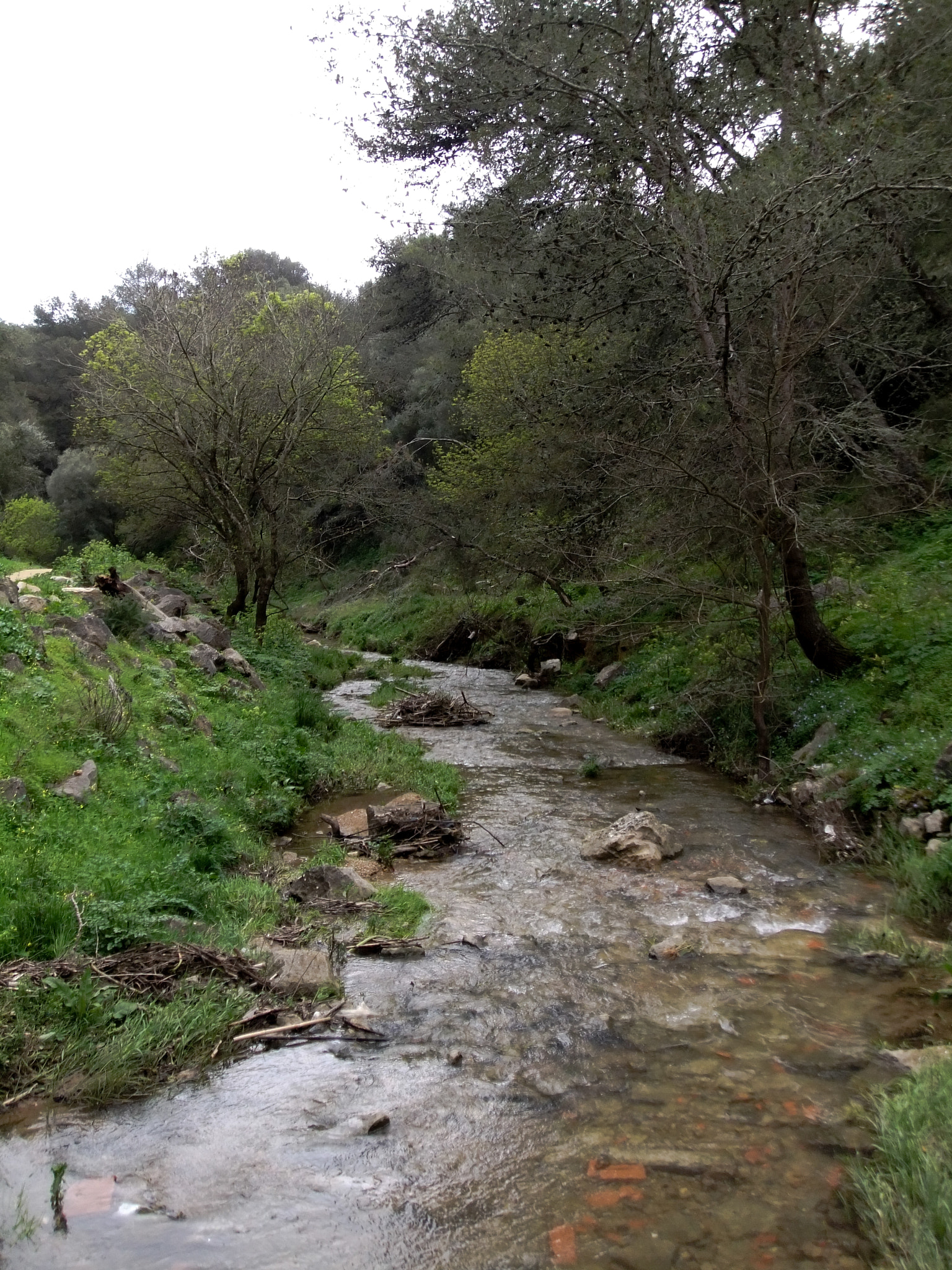 FujiFilm FinePix Z800EXR (FinePix Z808EXR) sample photo. Creek photography