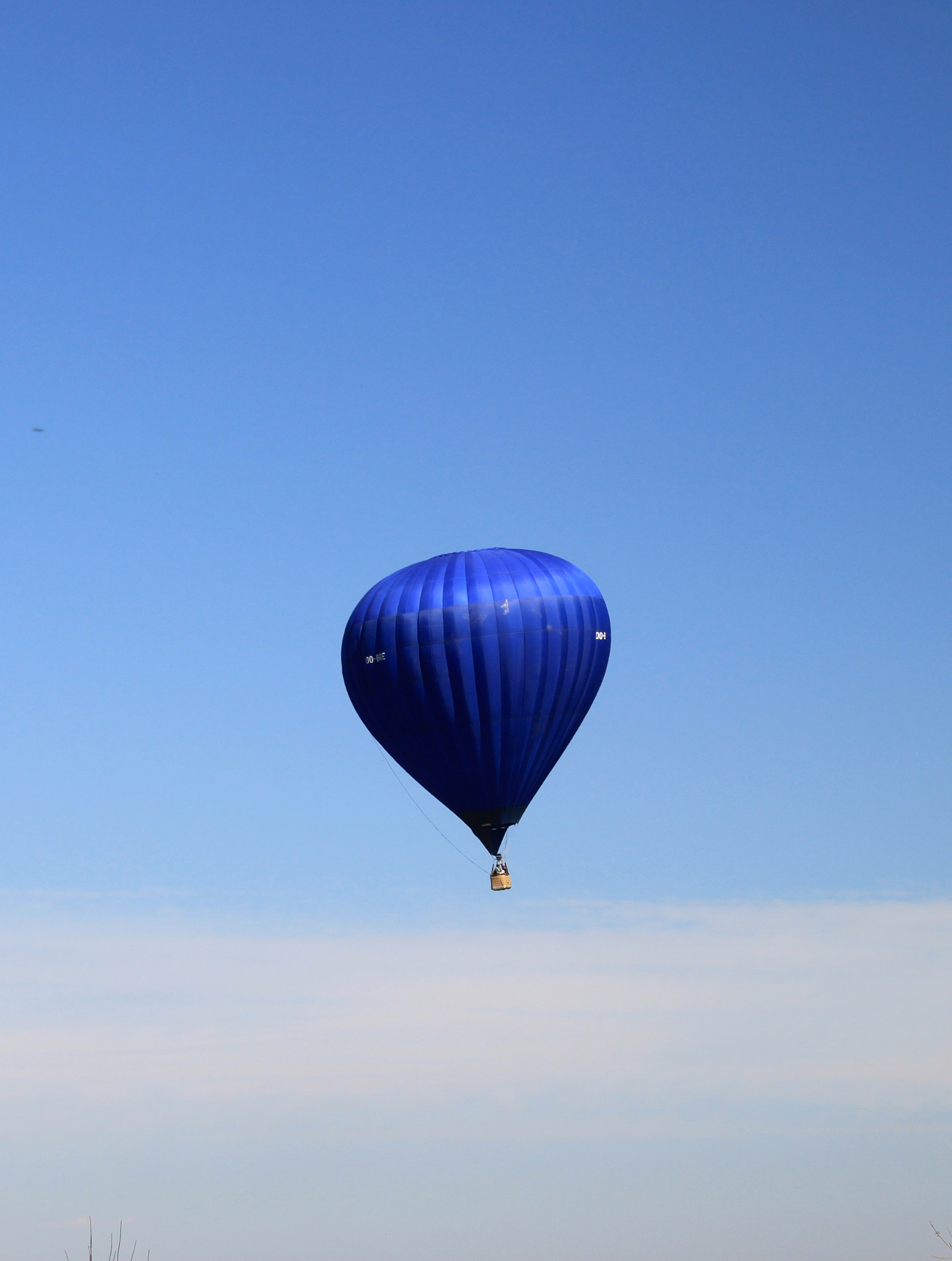 Canon EOS 500D (EOS Rebel T1i / EOS Kiss X3) sample photo. Balloon photography