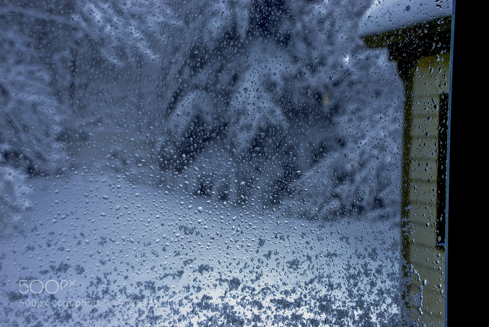 Nikon D610 sample photo. Snow - window photography
