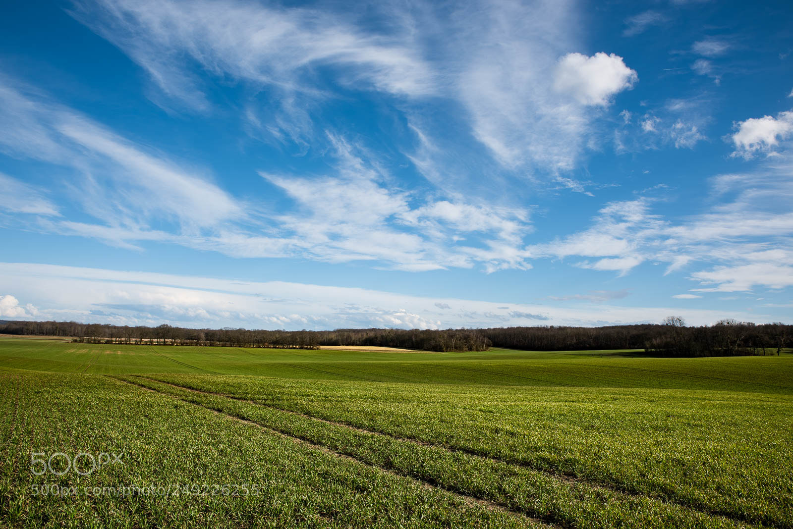 Nikon D810 sample photo. Sunny sunday photography