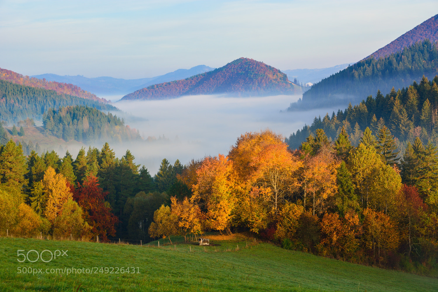 Nikon D7100 sample photo. ... autumn's mornings iv ... photography