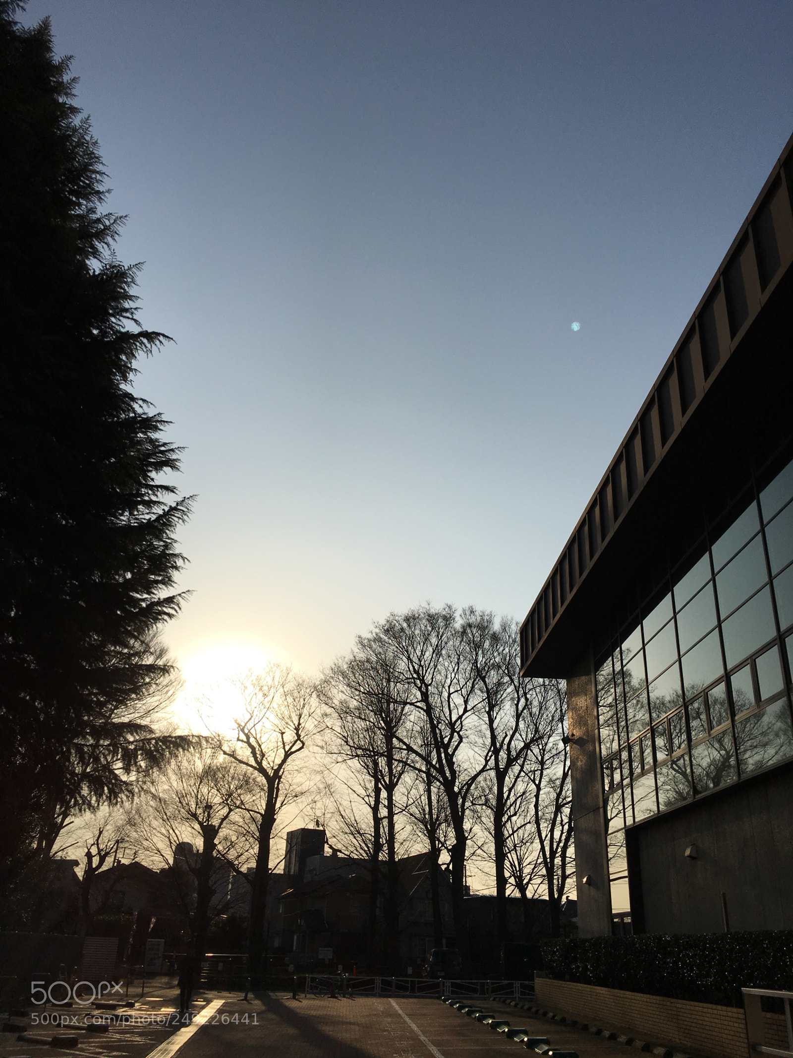 Apple iPhone 6s Plus sample photo. Spring2018 morning sky photography