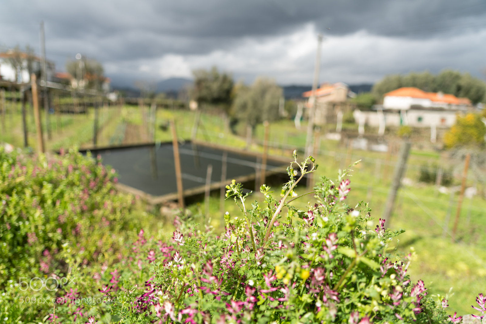 Sony a7R II sample photo. Untitled photography