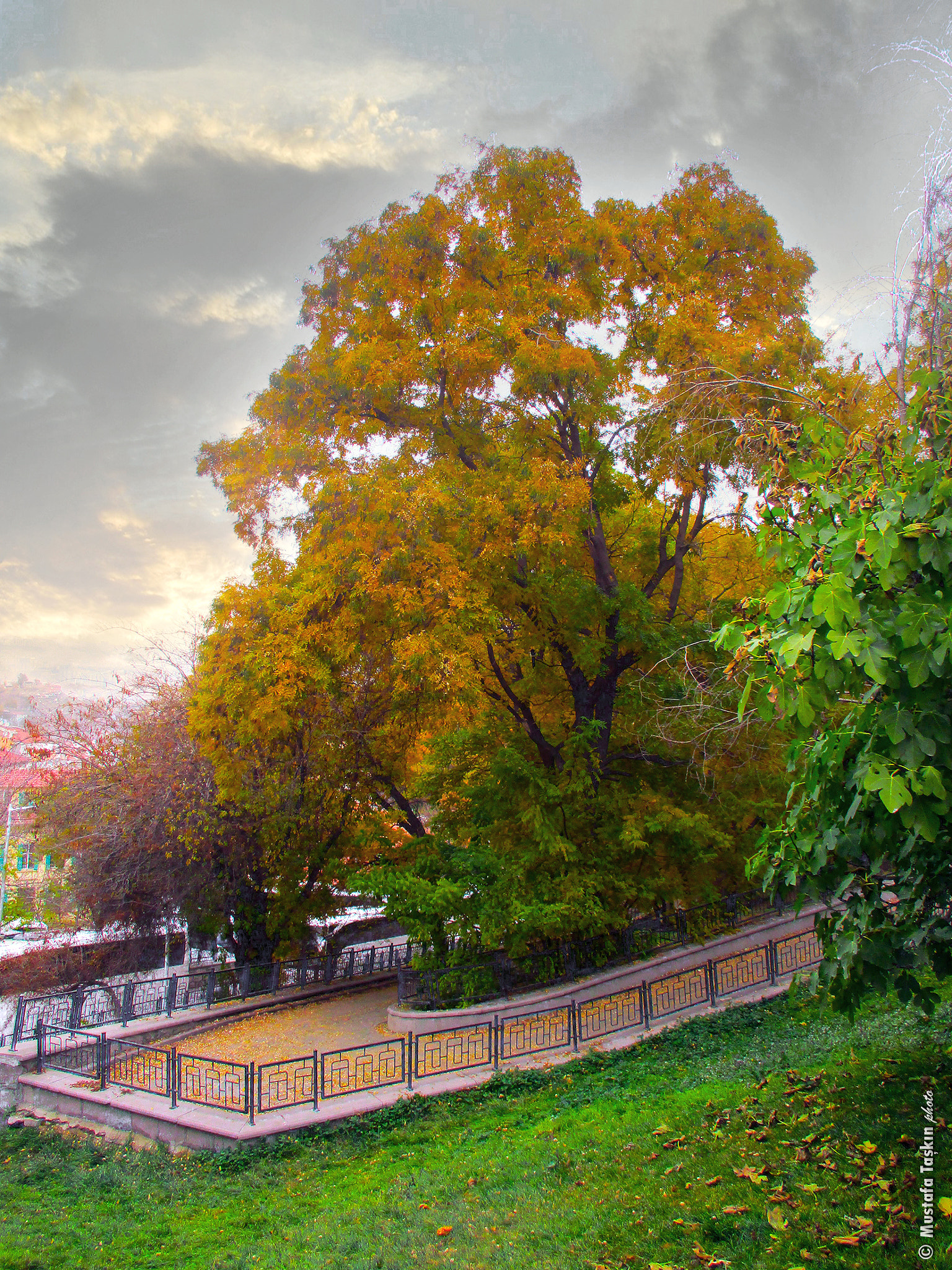 Canon IXUS 185 sample photo. Ankara' da sonbahar photography