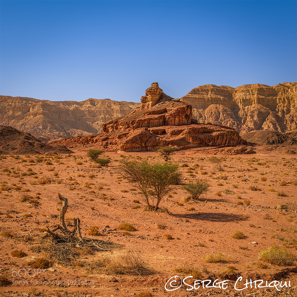 Nikon D800E sample photo. Spiral rock (1:1) photography