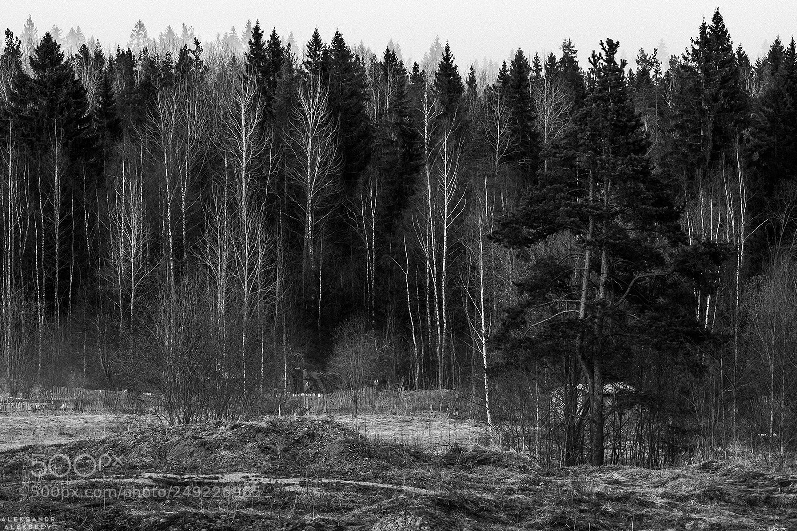 Canon EOS 600D (Rebel EOS T3i / EOS Kiss X5) sample photo. Bw autumn nature photography